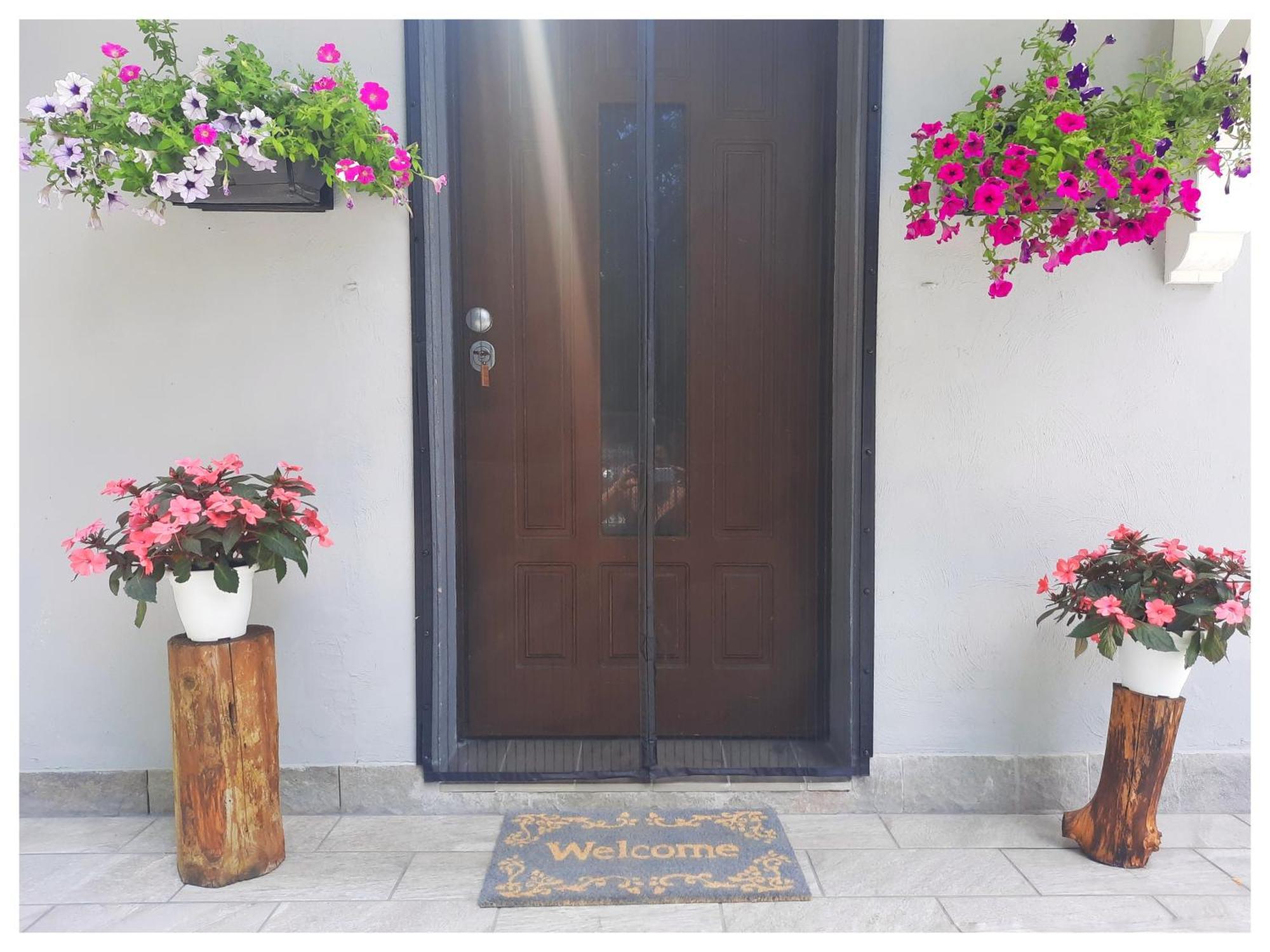 Bed and Breakfast La Casina Trecasali Esterno foto